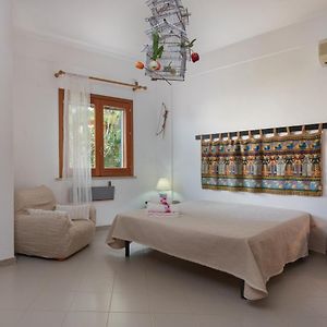 B&B Villa Il Carrubo
